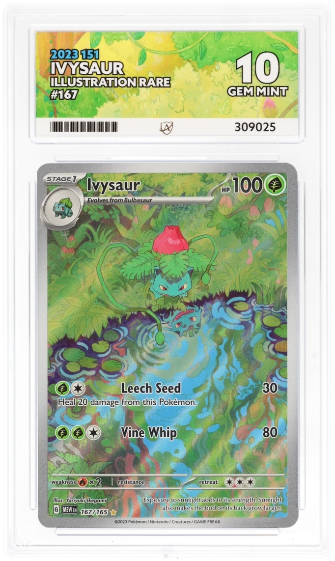 Pokémon – Ivysaur – Illustration Rare – 167/165 – Scarlet & Violet 151 – ACE 10