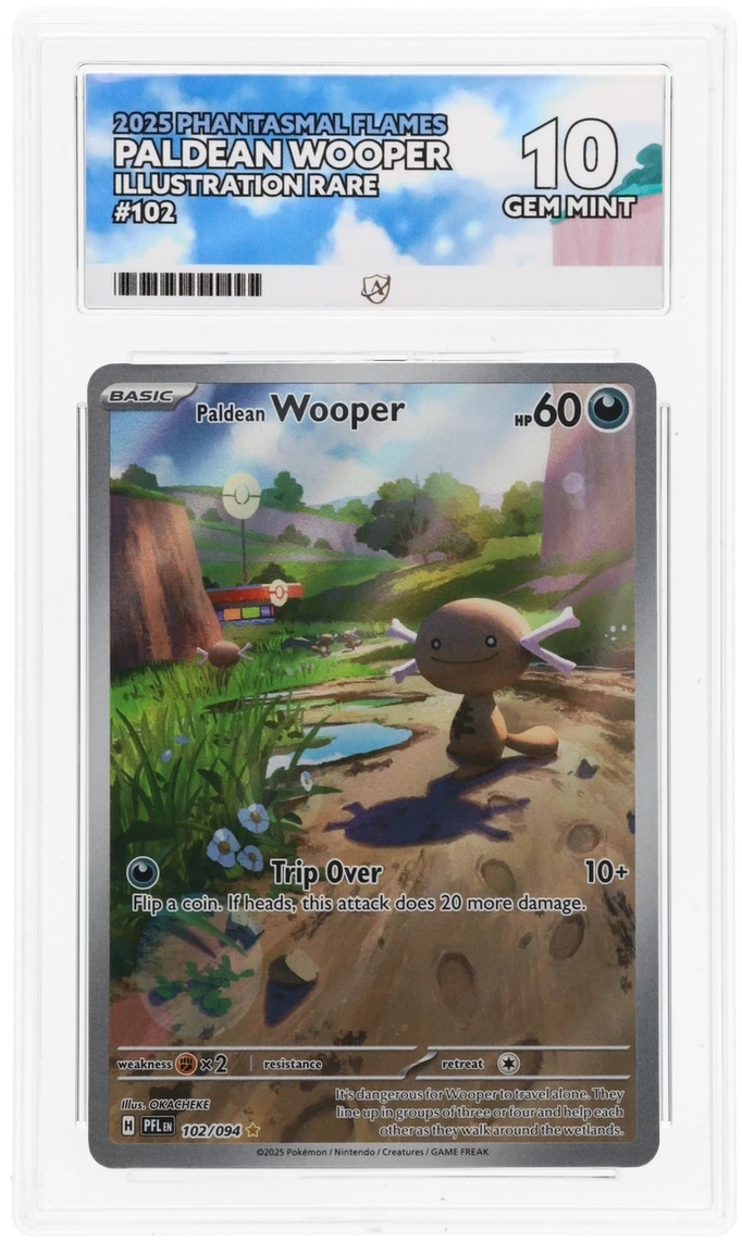 Pokémon – Paldean Wooper – Illustration Rare – 102/094 – Phantasmal Flames – ACE 10