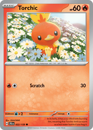 Torchic – Common – 022/159 – Journey Together