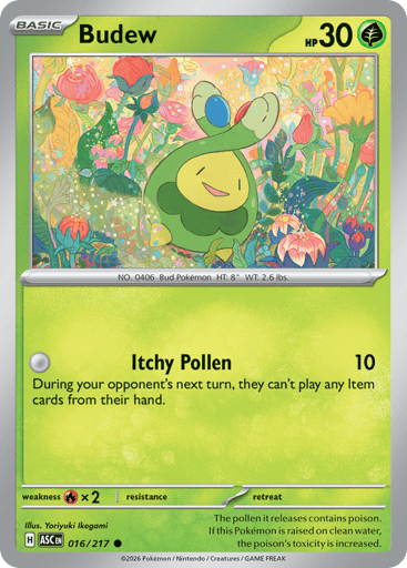 Budew – Common – 016/217 – Ascended Heroes