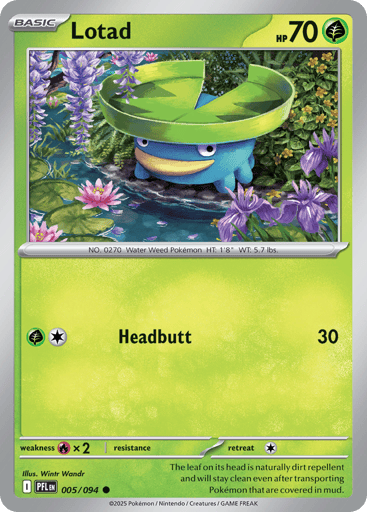 Lotad – Common Reverse Holo – 005/094 – Phantasmal Flames