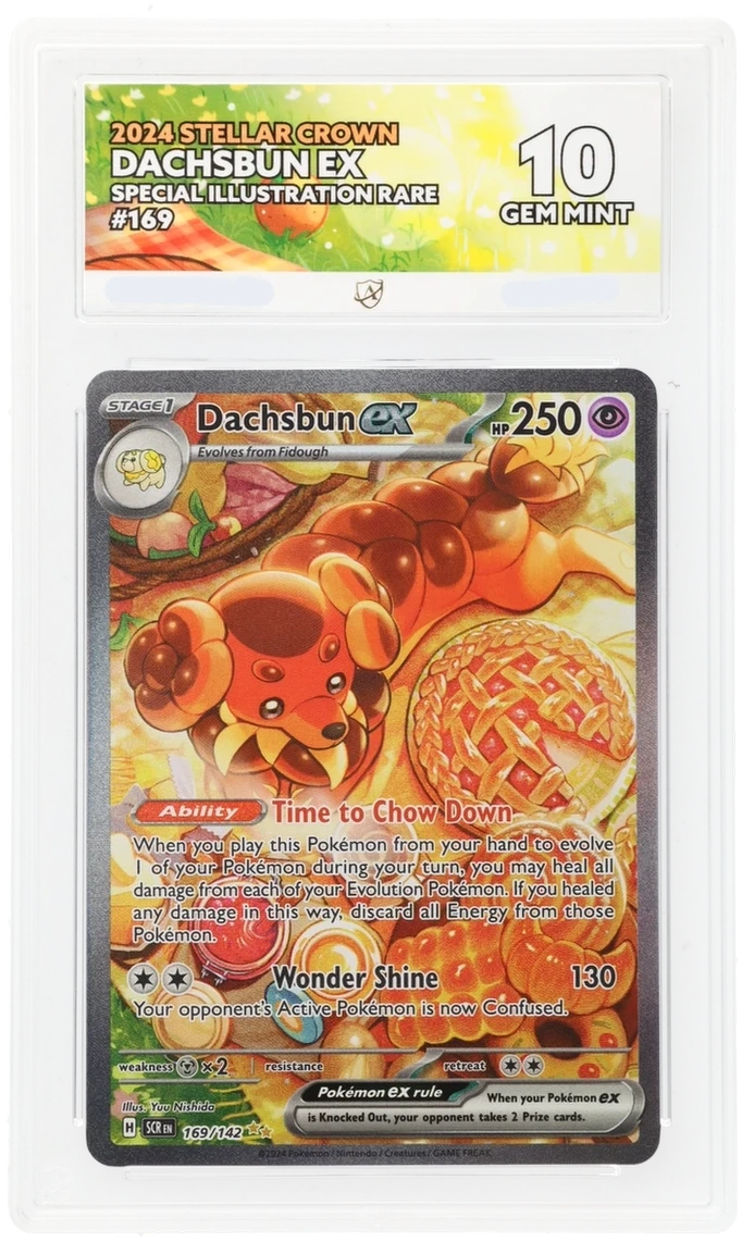 Pokémon Dachsbun ex Special Illustration Rare 169/142 – Stellar Crown – ACE 10 Graded Card