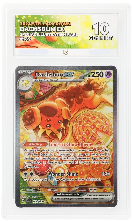 Pokémon Dachsbun ex Special Illustration Rare 169/142 – Stellar Crown – ACE 10 Graded Card