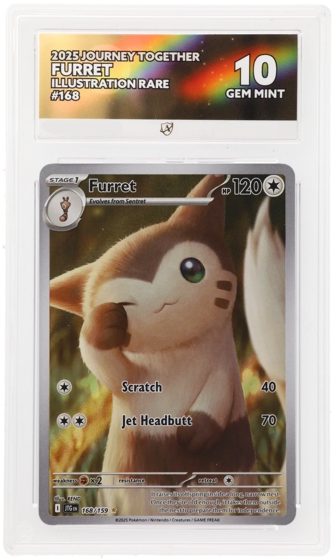 Pokémon Furret Illustration Rare 168/159 – Journey Together – ACE 10 Graded Card