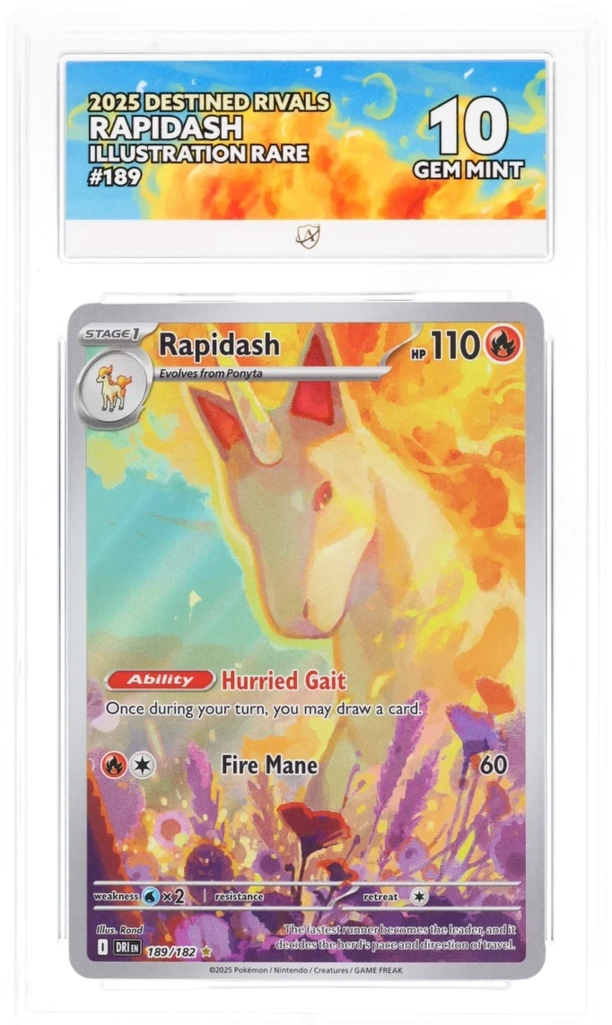 Pokémon Rapidash Illustration Rare 189/182 – Destined Rivals – ACE 10 Graded Card