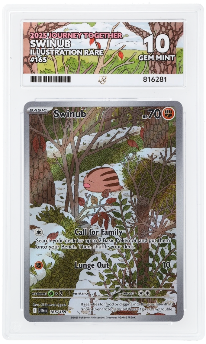 Pokémon Swinub Illustration Rare 165/159 – Journey Together – ACE 10 Graded Card